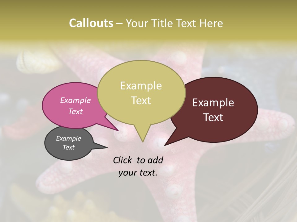 Aquatic Star Echinoderm PowerPoint Template