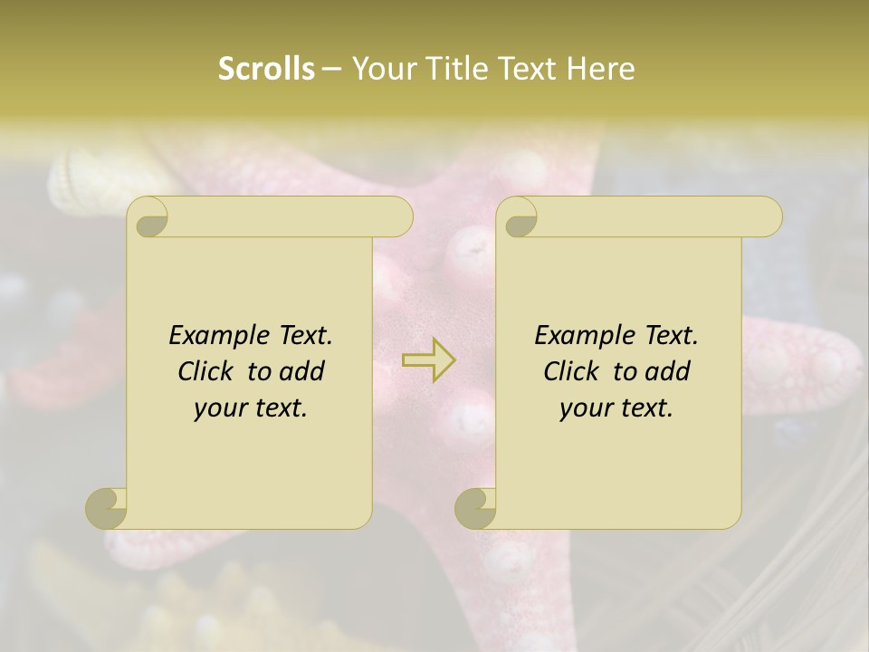 Aquatic Star Echinoderm PowerPoint Template
