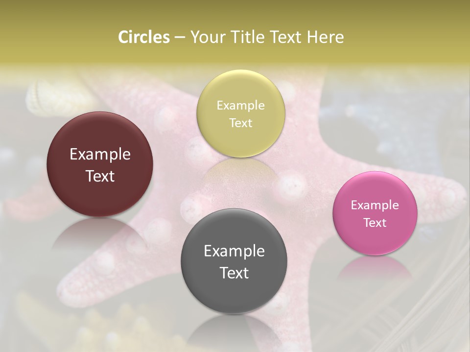 Aquatic Star Echinoderm PowerPoint Template
