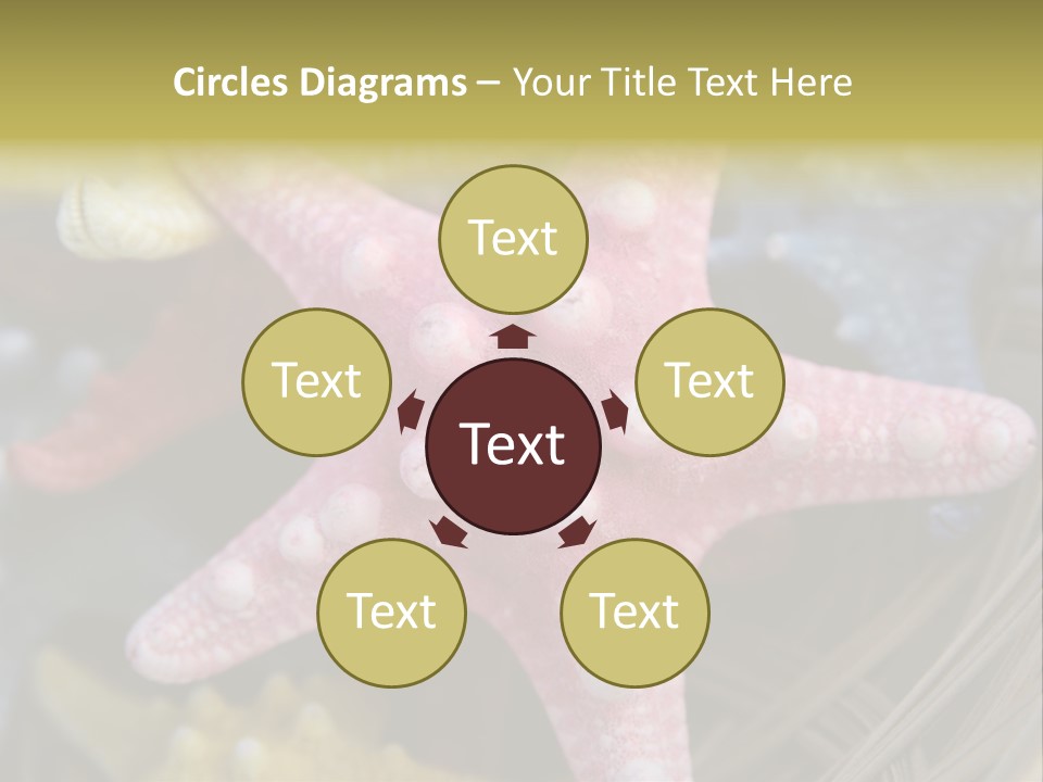 Aquatic Star Echinoderm PowerPoint Template