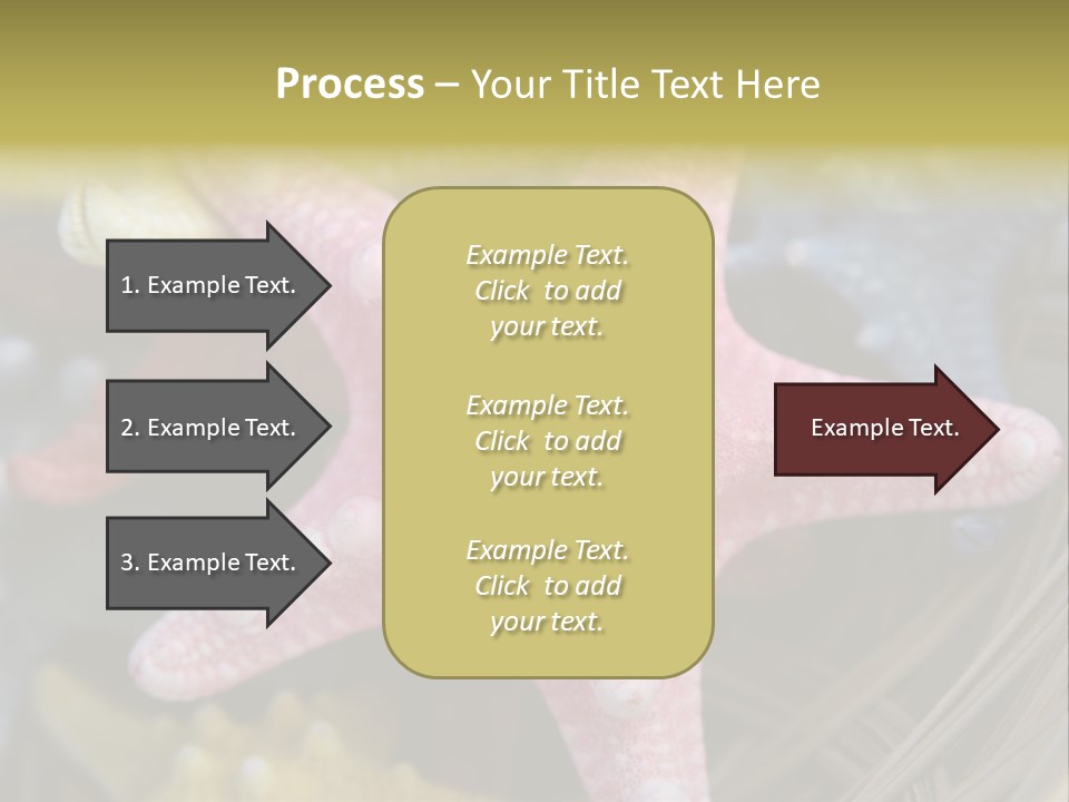 Aquatic Star Echinoderm PowerPoint Template