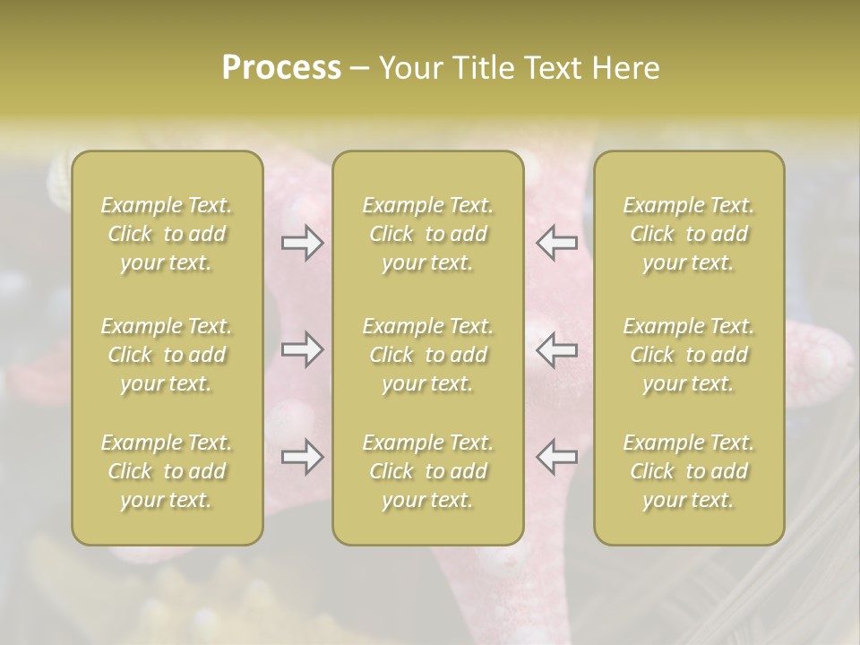 Aquatic Star Echinoderm PowerPoint Template