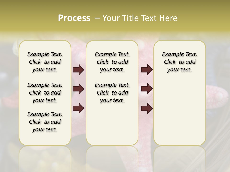 Aquatic Star Echinoderm PowerPoint Template