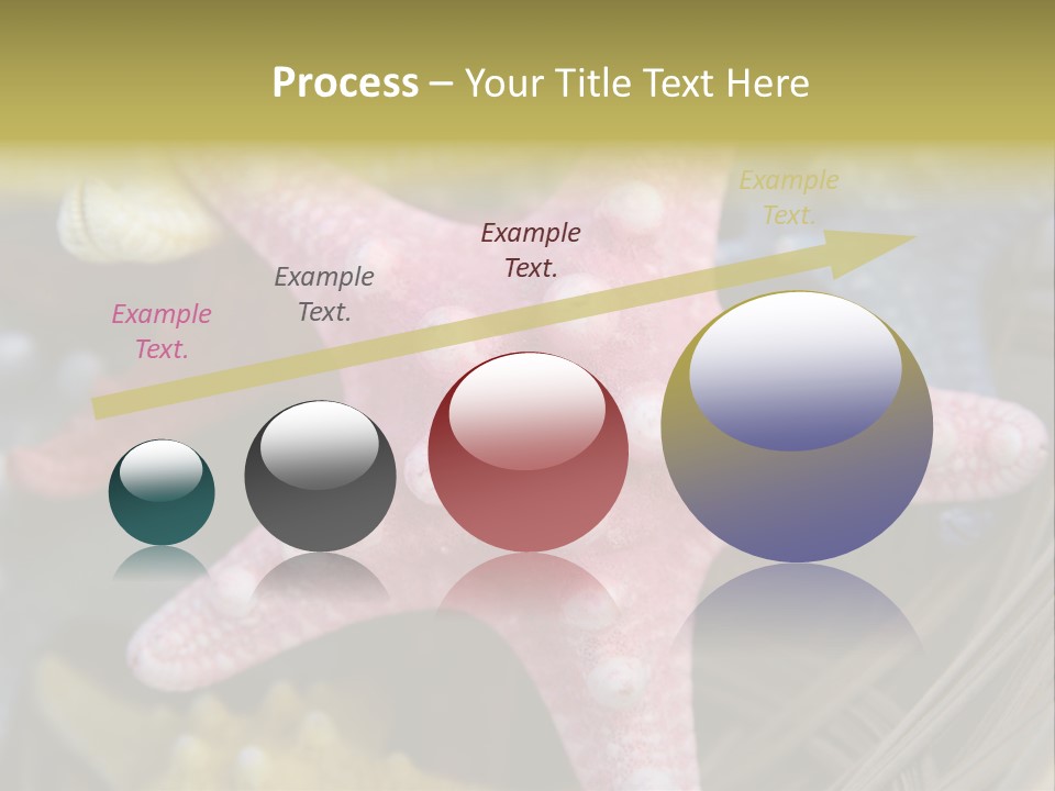 Aquatic Star Echinoderm PowerPoint Template