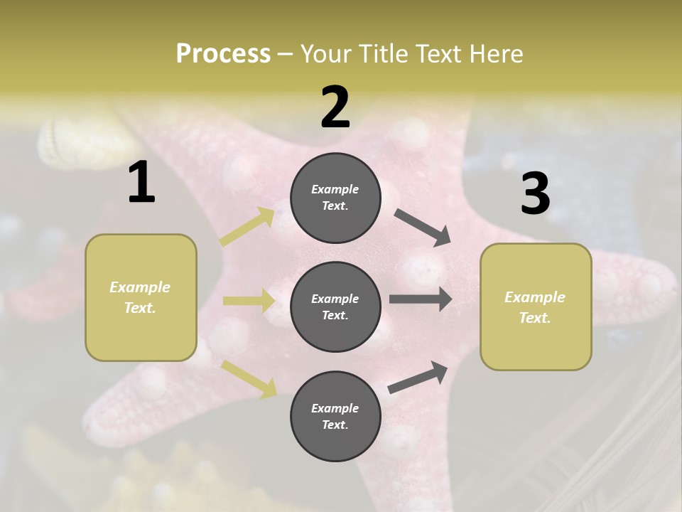 Aquatic Star Echinoderm PowerPoint Template