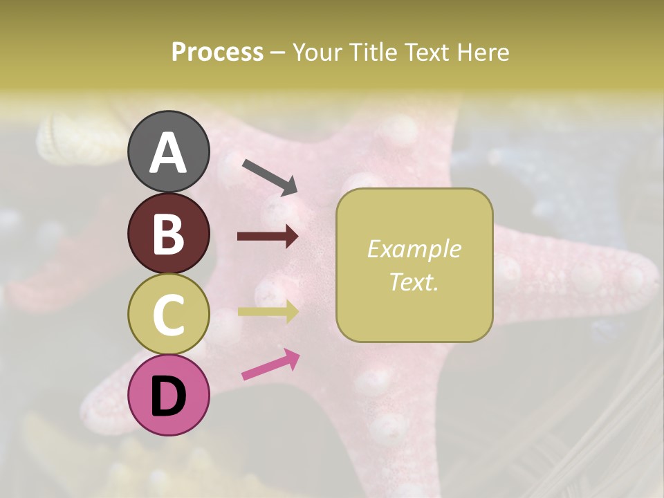 Aquatic Star Echinoderm PowerPoint Template