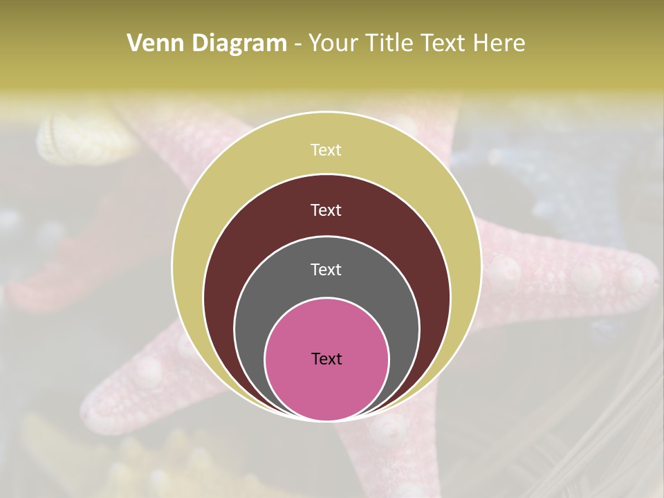 Aquatic Star Echinoderm PowerPoint Template