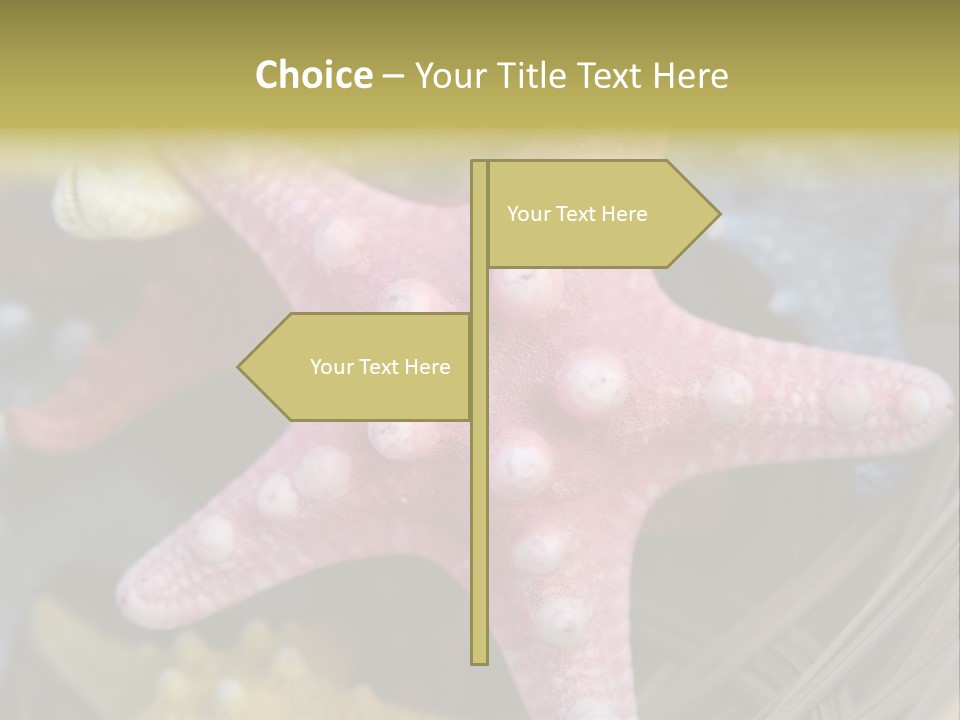 Aquatic Star Echinoderm PowerPoint Template