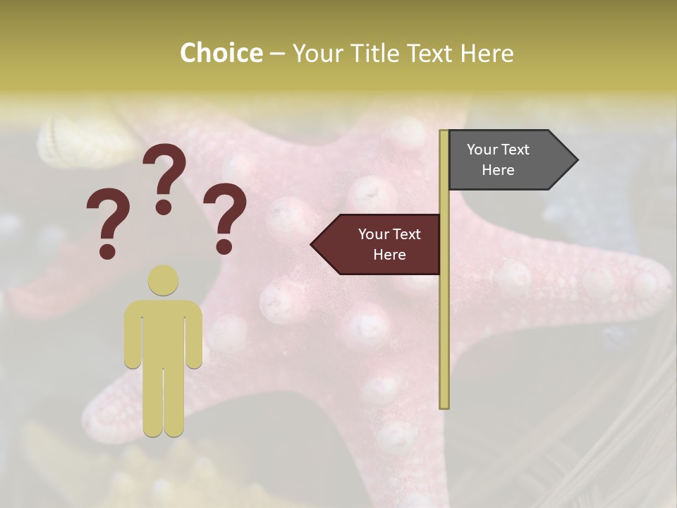 Aquatic Star Echinoderm PowerPoint Template