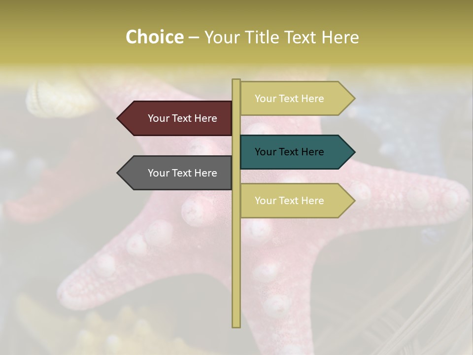 Aquatic Star Echinoderm PowerPoint Template