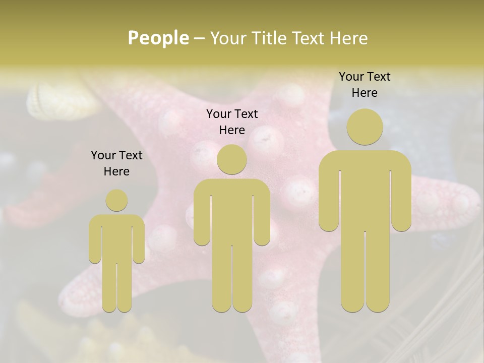 Aquatic Star Echinoderm PowerPoint Template