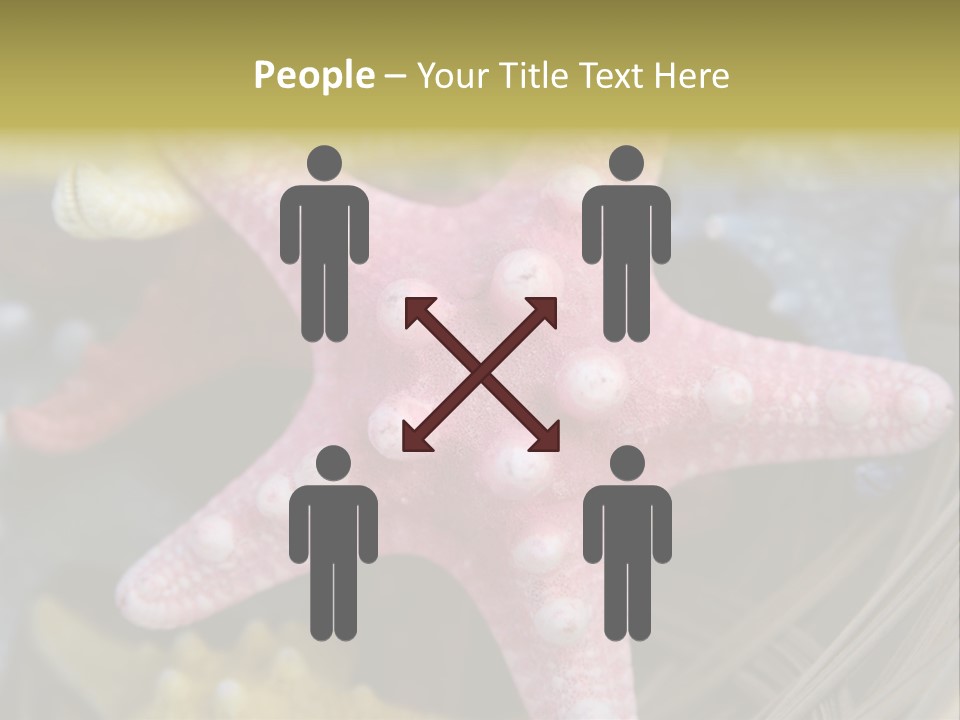 Aquatic Star Echinoderm PowerPoint Template