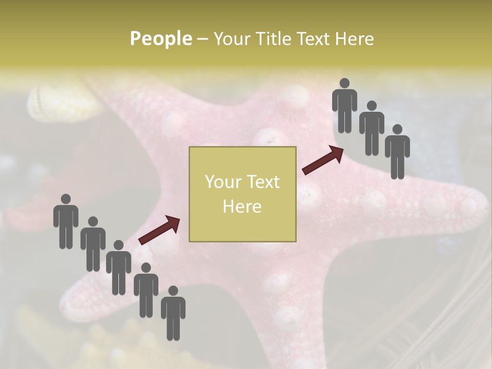 Aquatic Star Echinoderm PowerPoint Template
