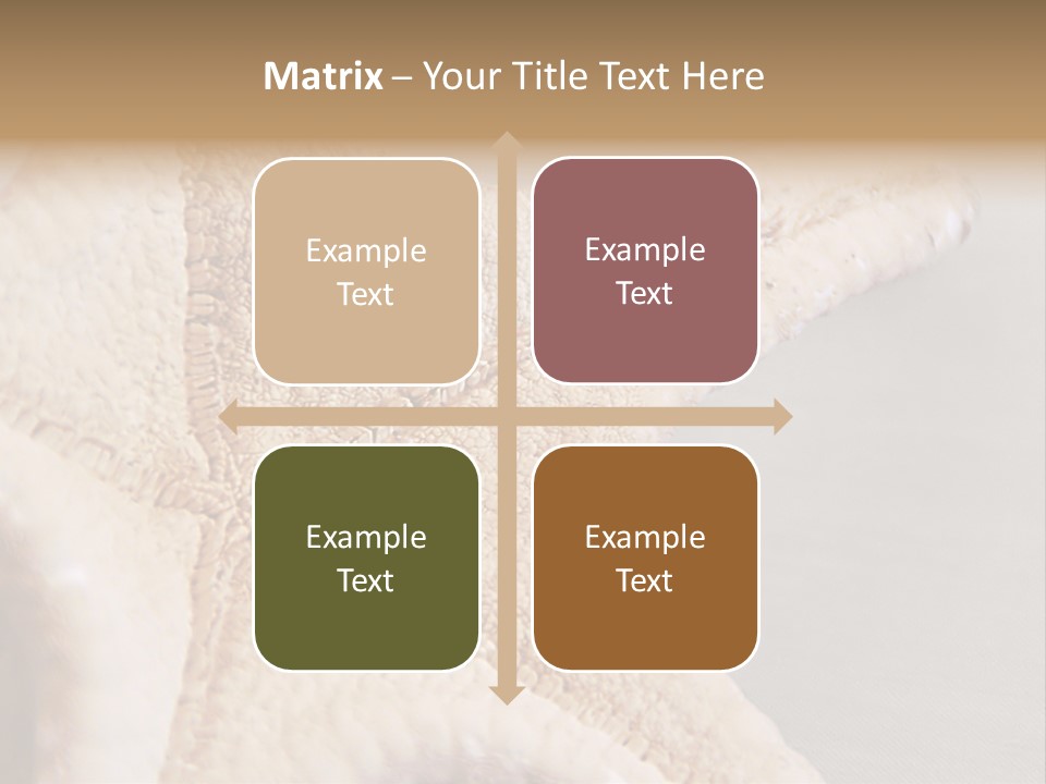 Crustacean Pentagon Starfish PowerPoint Template