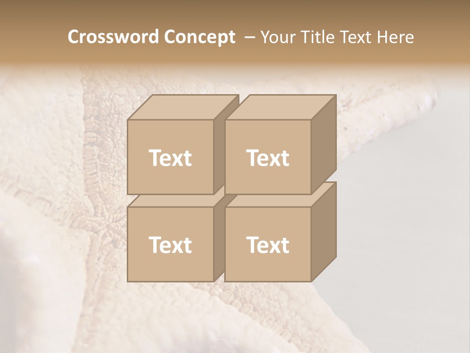 Crustacean Pentagon Starfish PowerPoint Template