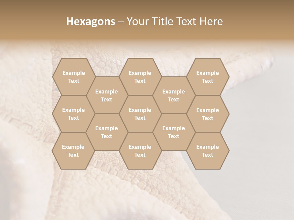 Crustacean Pentagon Starfish PowerPoint Template