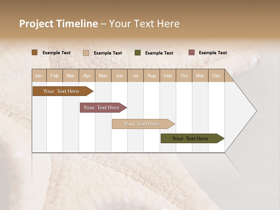 Crustacean Pentagon Starfish PowerPoint Template