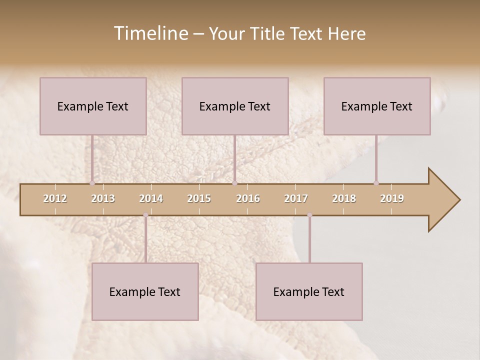 Crustacean Pentagon Starfish PowerPoint Template