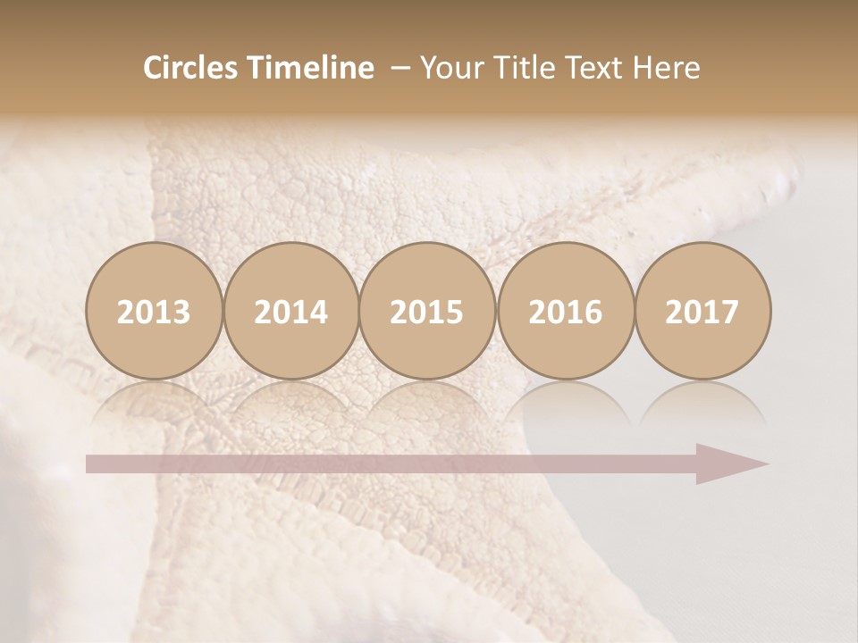 Crustacean Pentagon Starfish PowerPoint Template