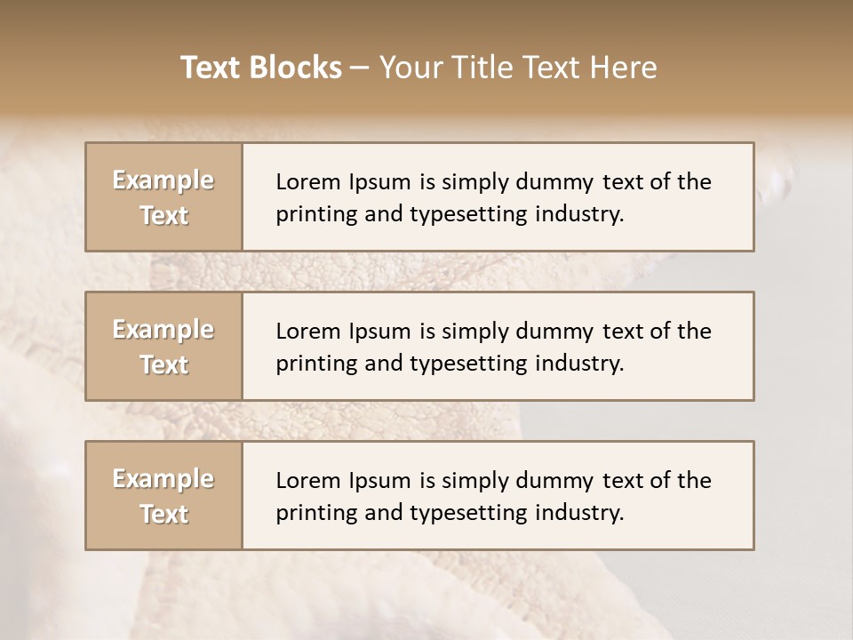 Crustacean Pentagon Starfish PowerPoint Template