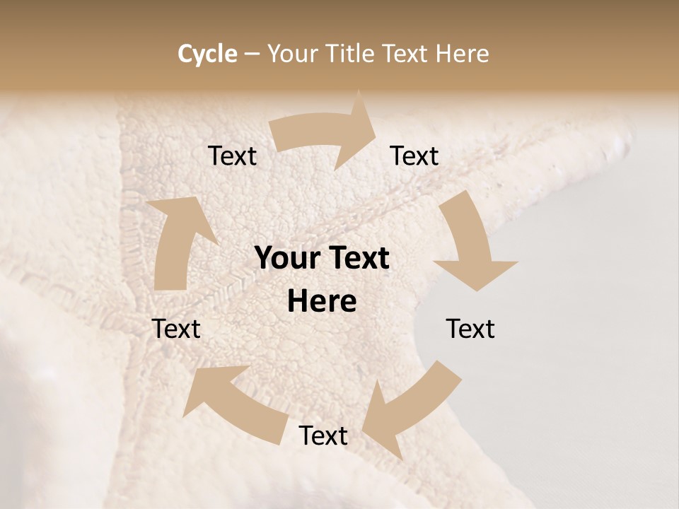 Crustacean Pentagon Starfish PowerPoint Template