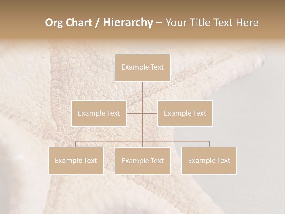 Crustacean Pentagon Starfish PowerPoint Template