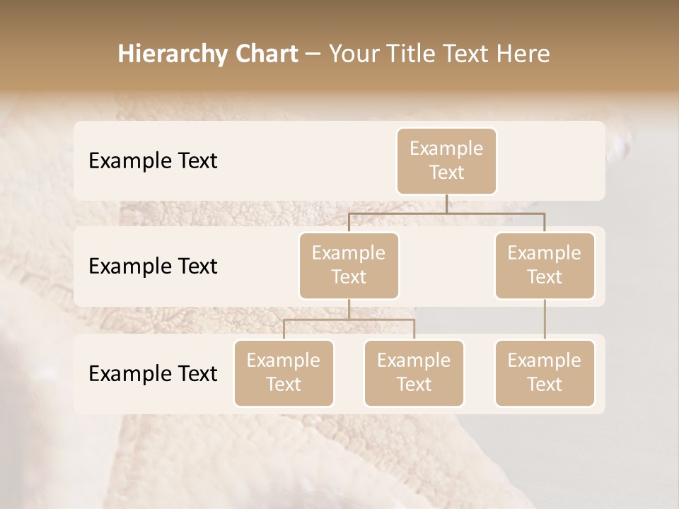 Crustacean Pentagon Starfish PowerPoint Template