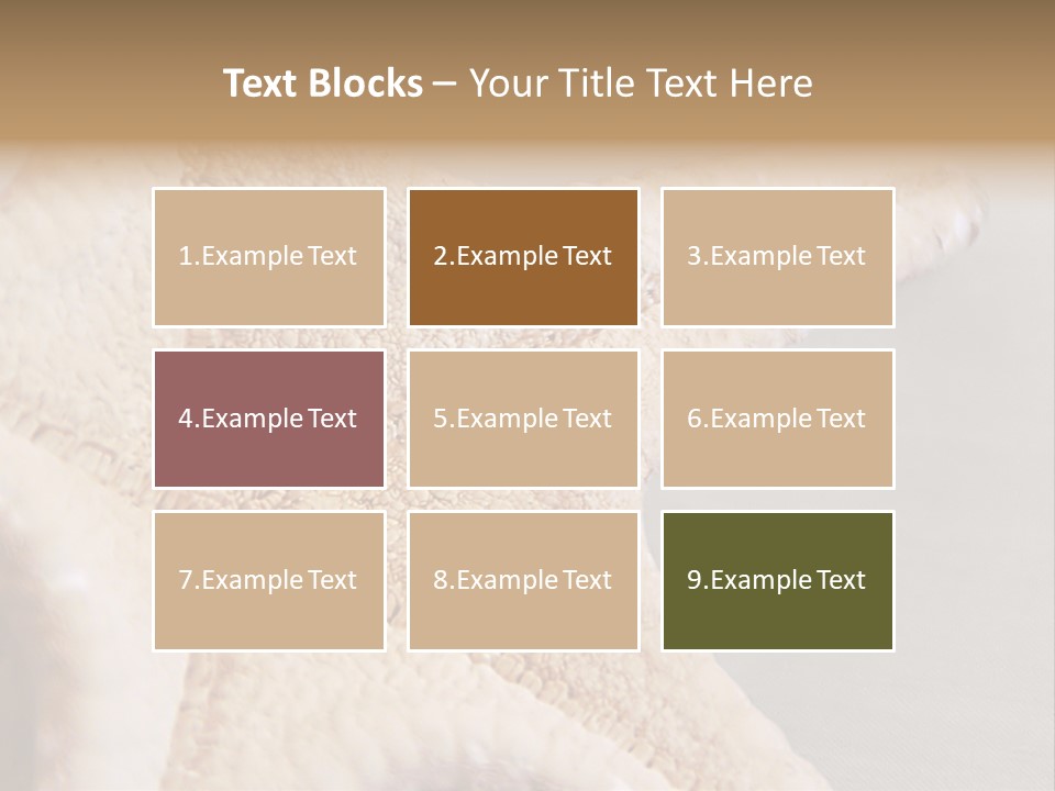 Crustacean Pentagon Starfish PowerPoint Template