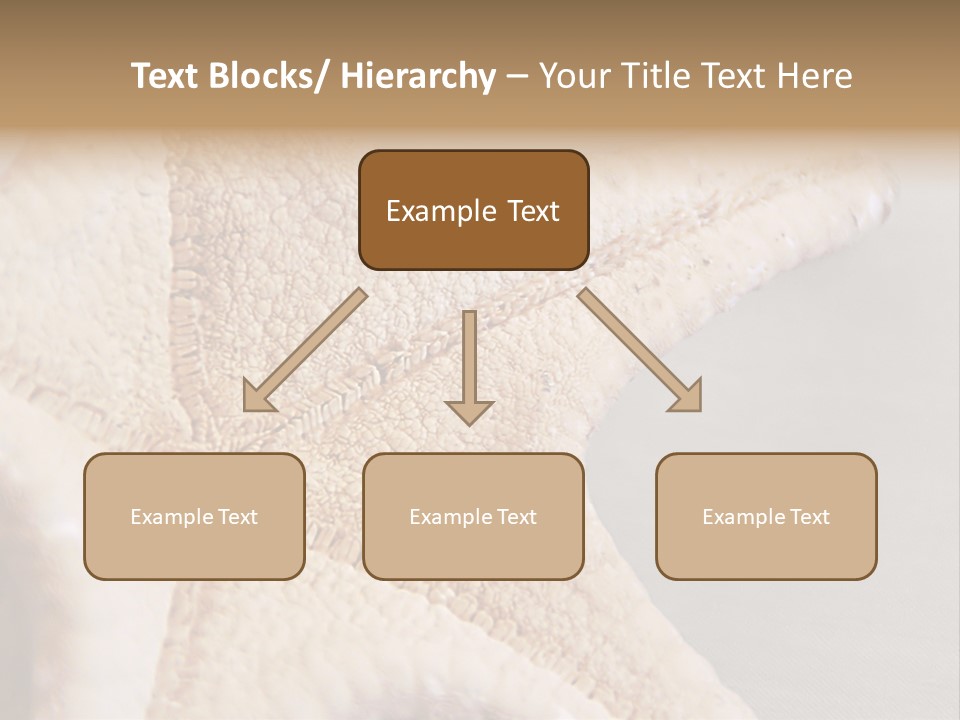 Crustacean Pentagon Starfish PowerPoint Template