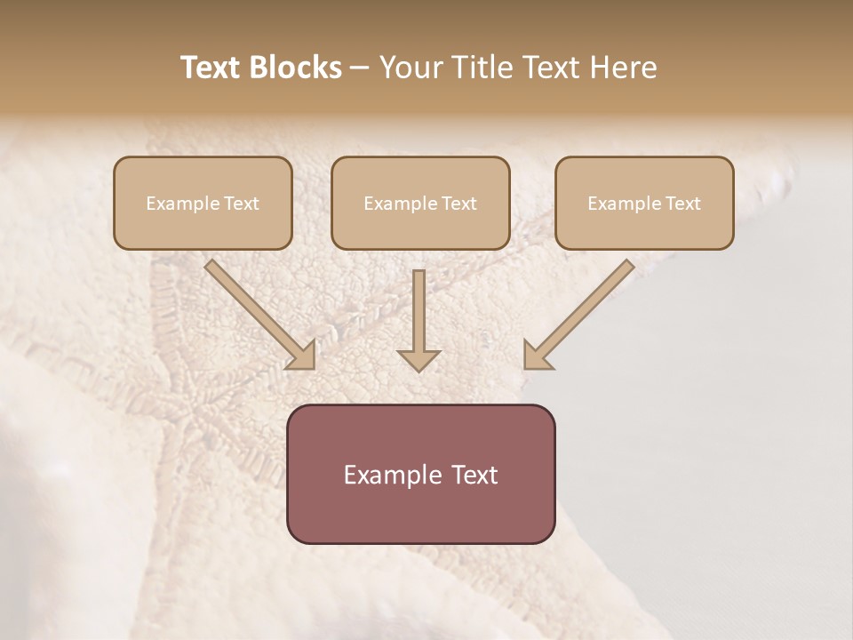 Crustacean Pentagon Starfish PowerPoint Template