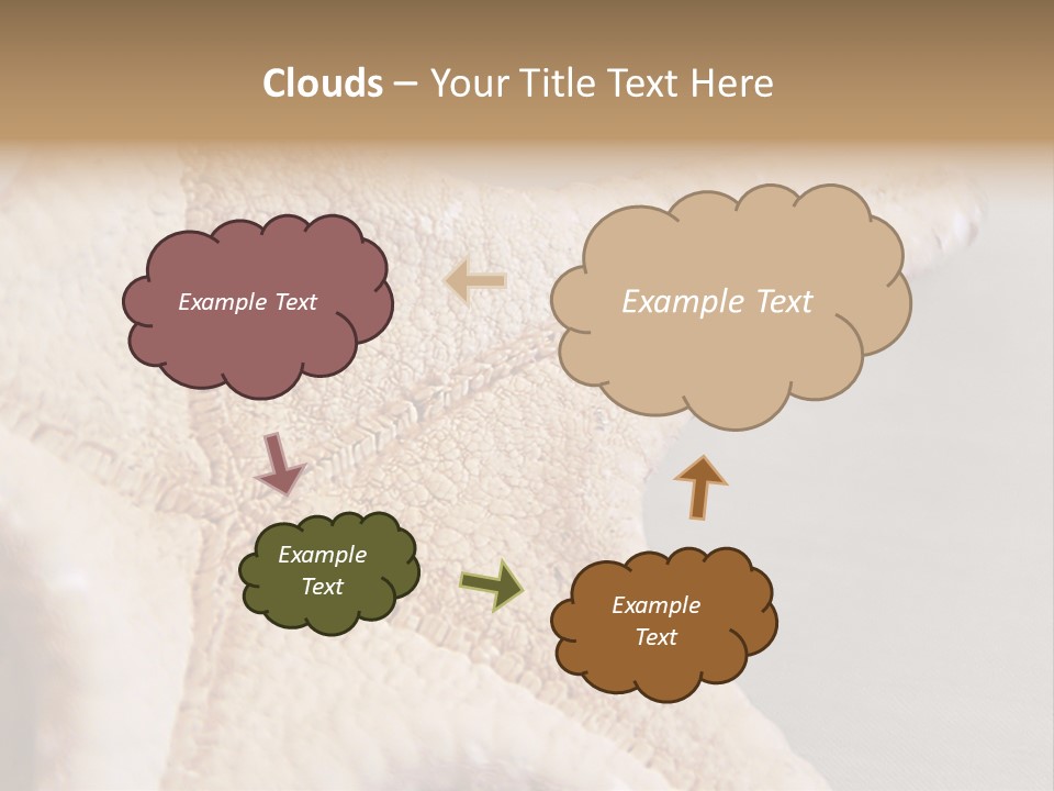 Crustacean Pentagon Starfish PowerPoint Template