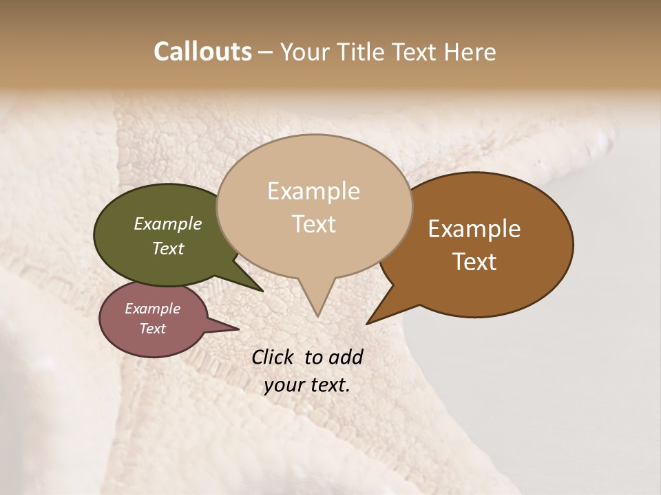 Crustacean Pentagon Starfish PowerPoint Template