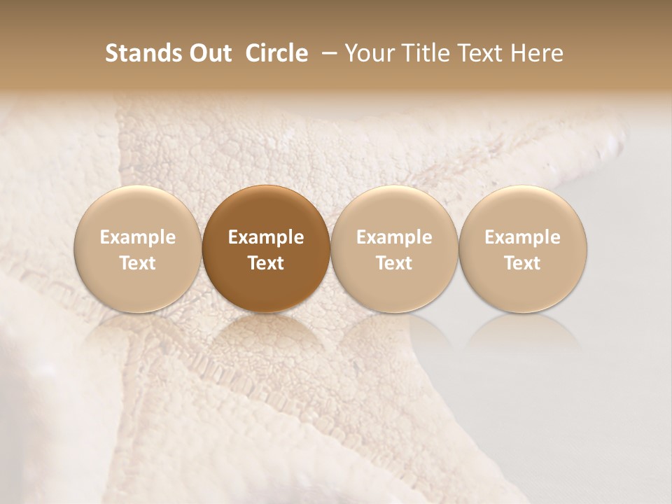 Crustacean Pentagon Starfish PowerPoint Template