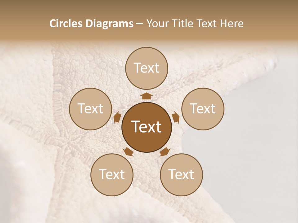 Crustacean Pentagon Starfish PowerPoint Template