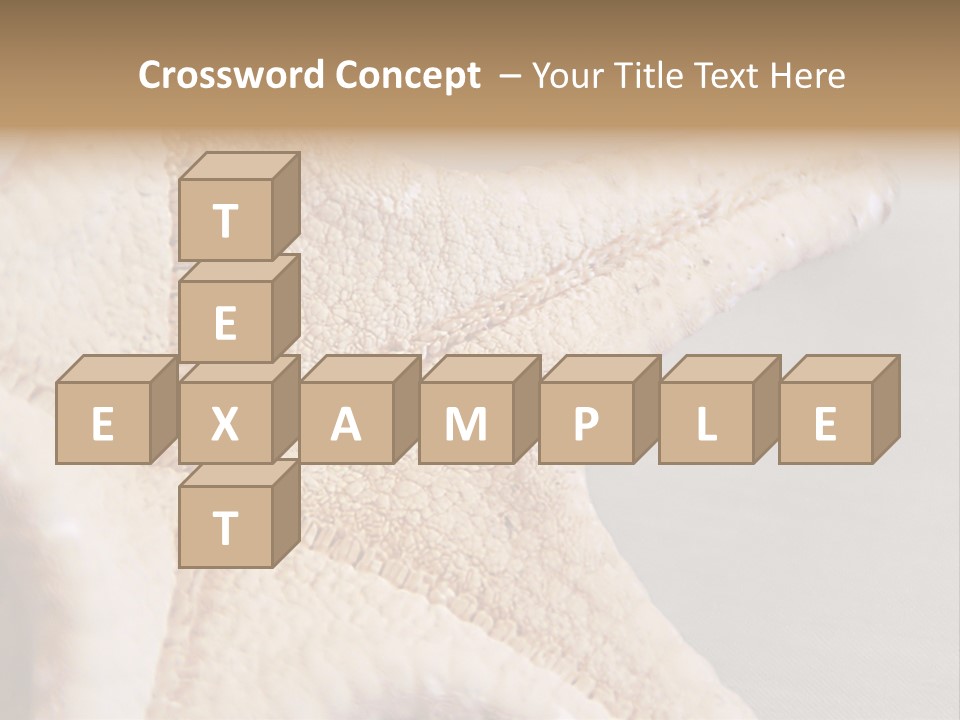 Crustacean Pentagon Starfish PowerPoint Template