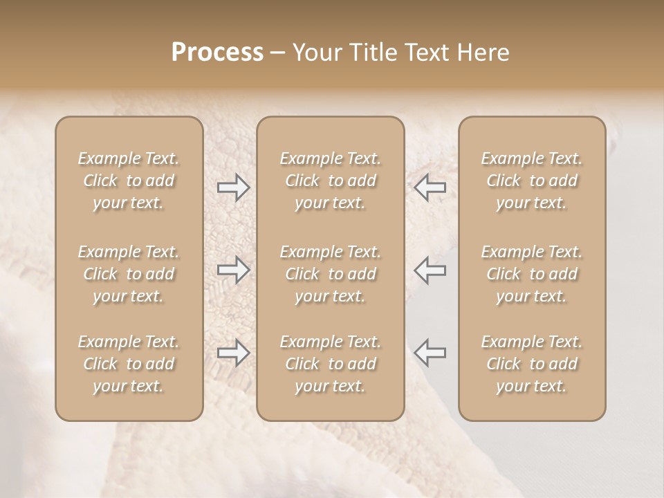 Crustacean Pentagon Starfish PowerPoint Template