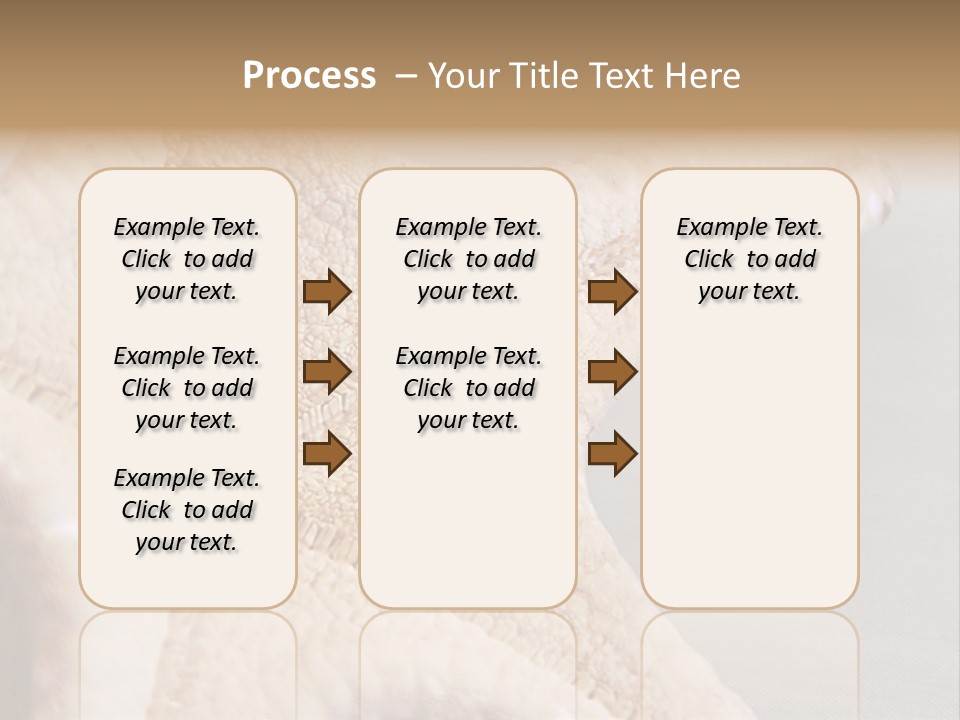 Crustacean Pentagon Starfish PowerPoint Template
