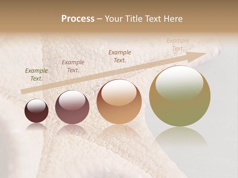 Crustacean Pentagon Starfish PowerPoint Template