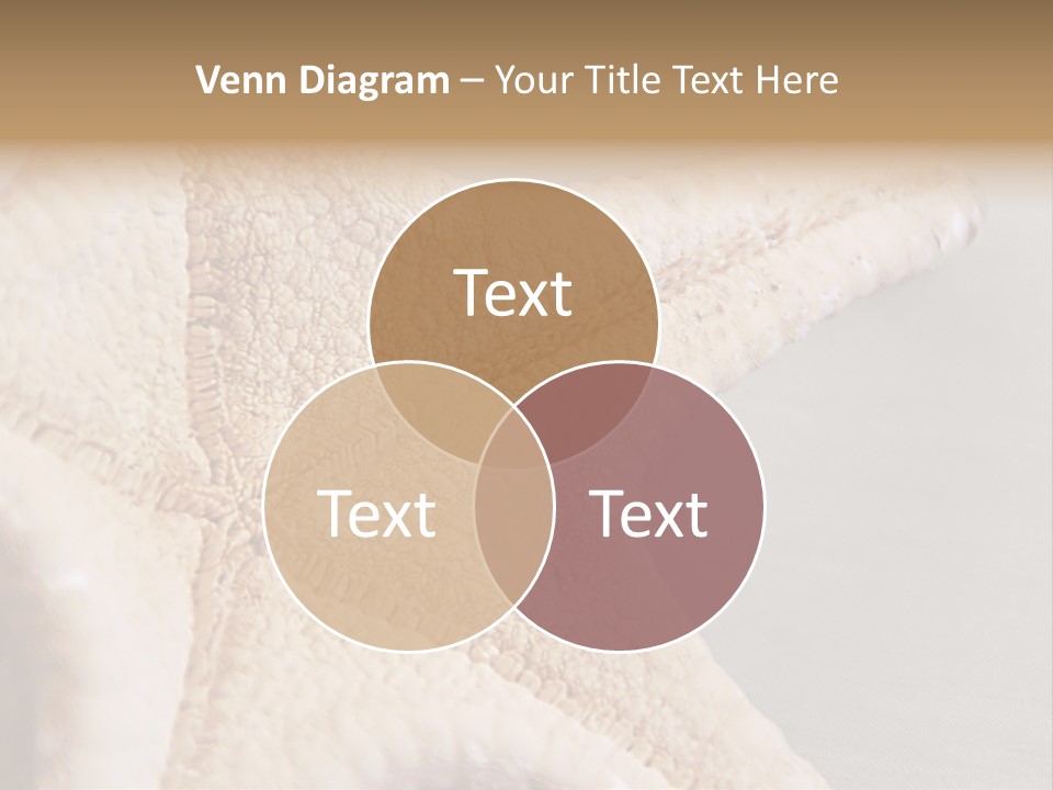 Crustacean Pentagon Starfish PowerPoint Template