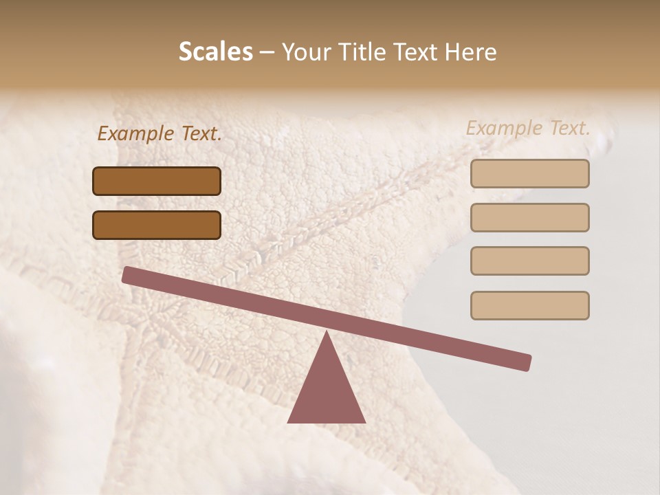 Crustacean Pentagon Starfish PowerPoint Template