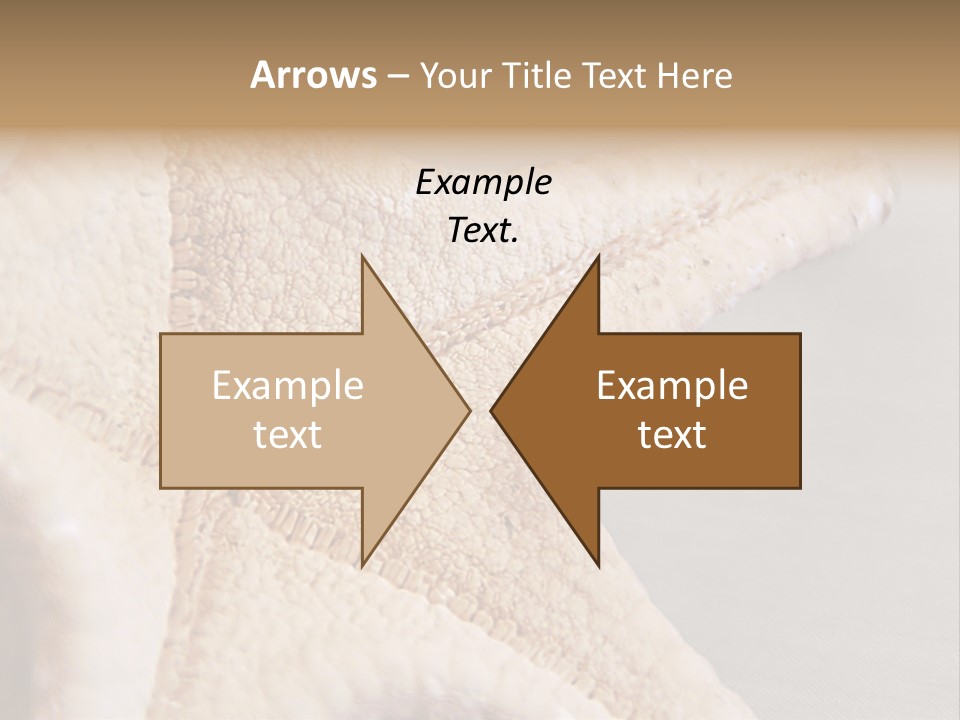 Crustacean Pentagon Starfish PowerPoint Template