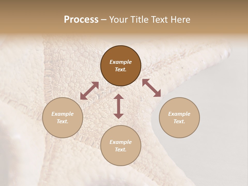 Crustacean Pentagon Starfish PowerPoint Template