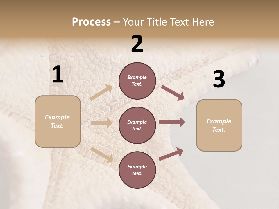 Crustacean Pentagon Starfish PowerPoint Template