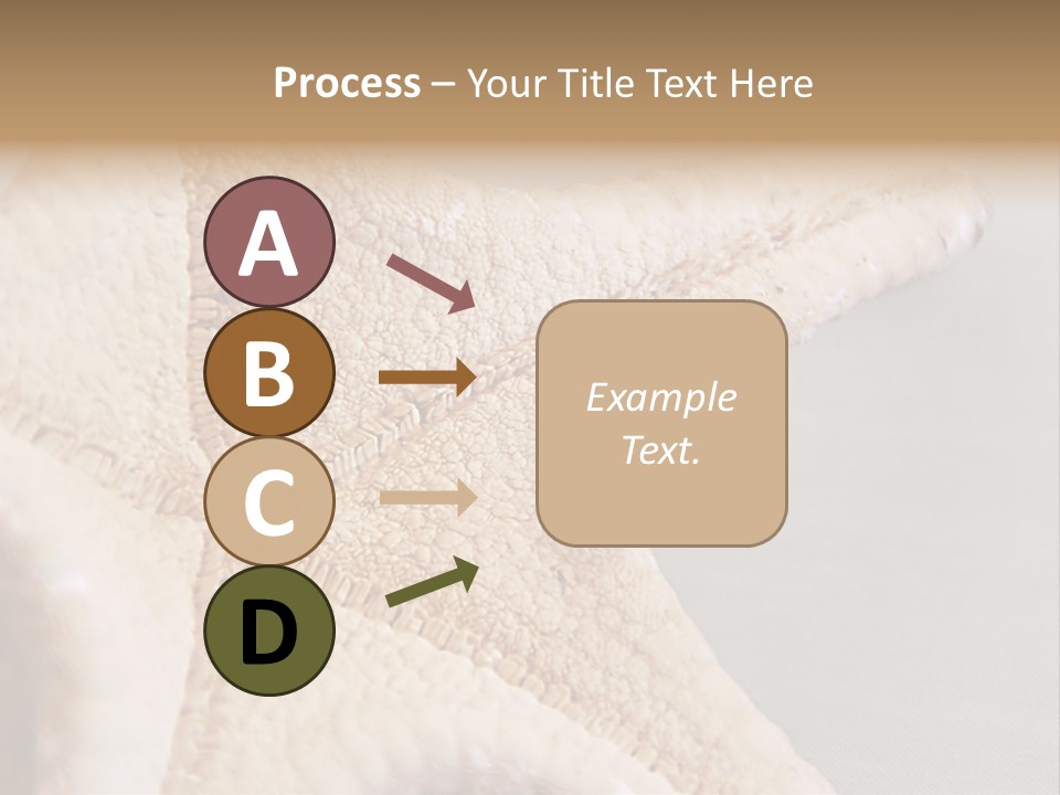 Crustacean Pentagon Starfish PowerPoint Template