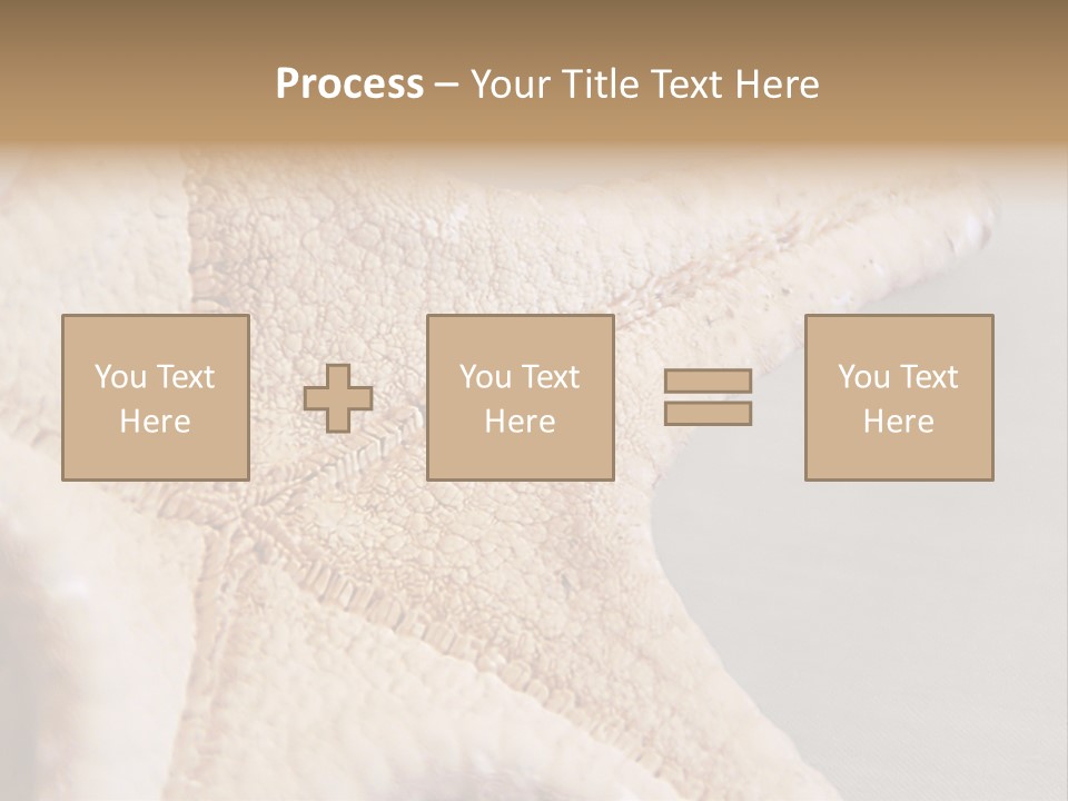 Crustacean Pentagon Starfish PowerPoint Template