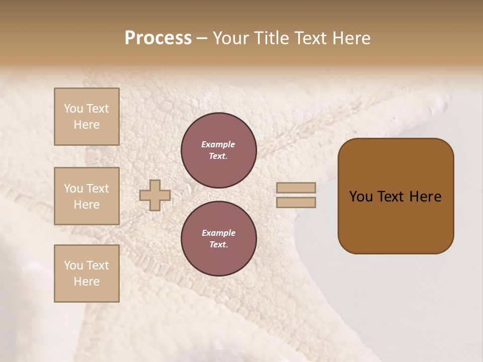 Crustacean Pentagon Starfish PowerPoint Template