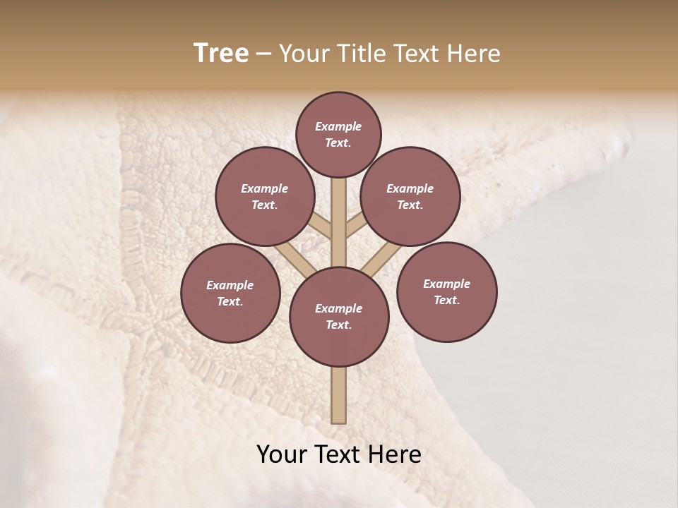 Crustacean Pentagon Starfish PowerPoint Template