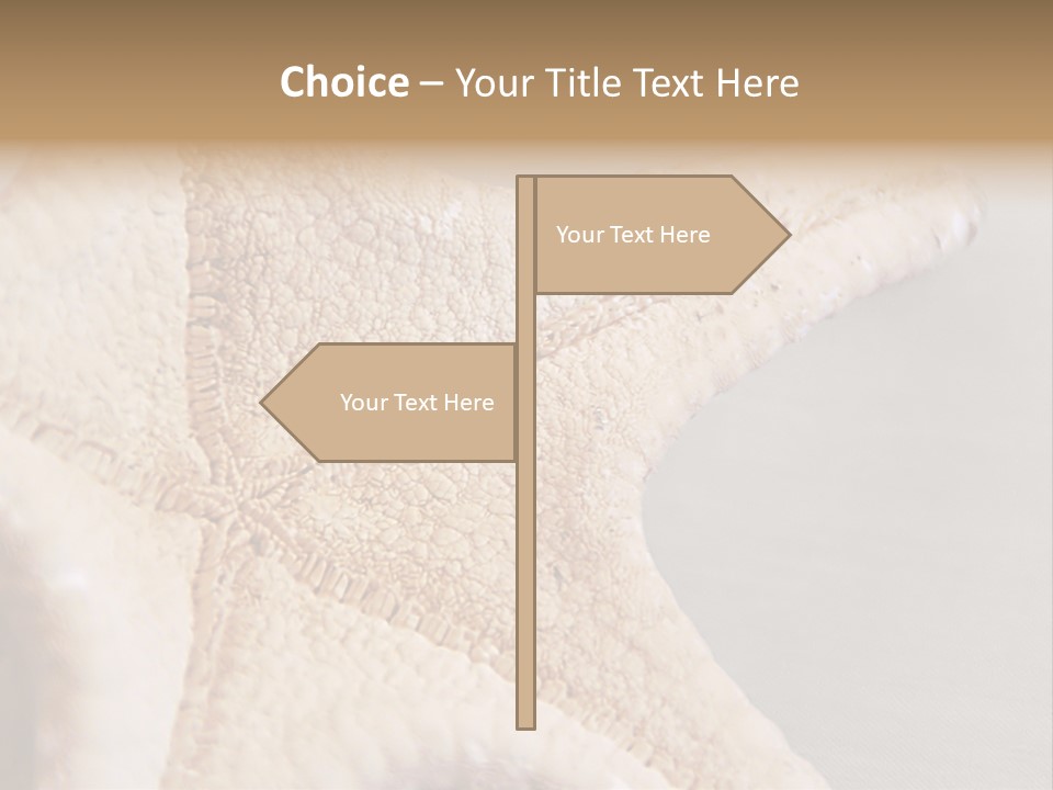 Crustacean Pentagon Starfish PowerPoint Template