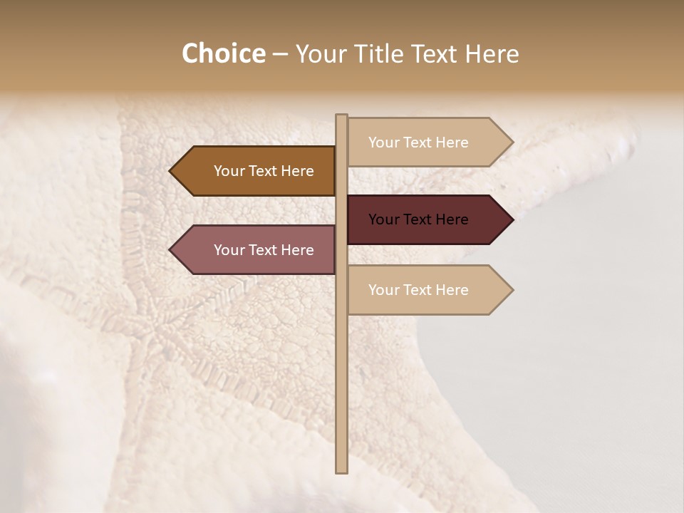 Crustacean Pentagon Starfish PowerPoint Template