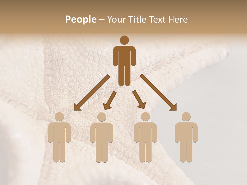 Crustacean Pentagon Starfish PowerPoint Template